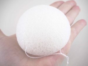 Konjac-sieni