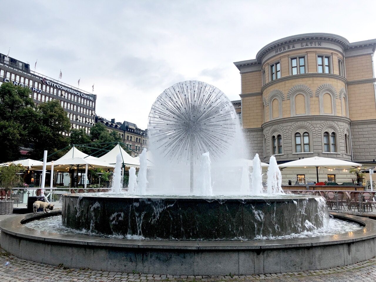 Virve Fredman Ostolakossa irtisanoutuminen Eleven - 1