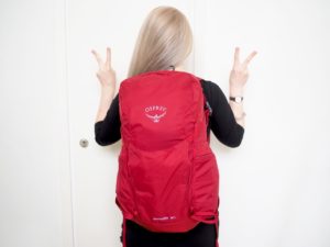 Idiootit ympärilläni kirja Virve Fredman Ostolakossa