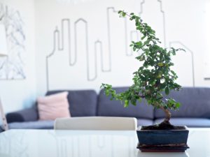 Kuinka monta tavaraa omistan Minimalismi Blogi Virve Fredman