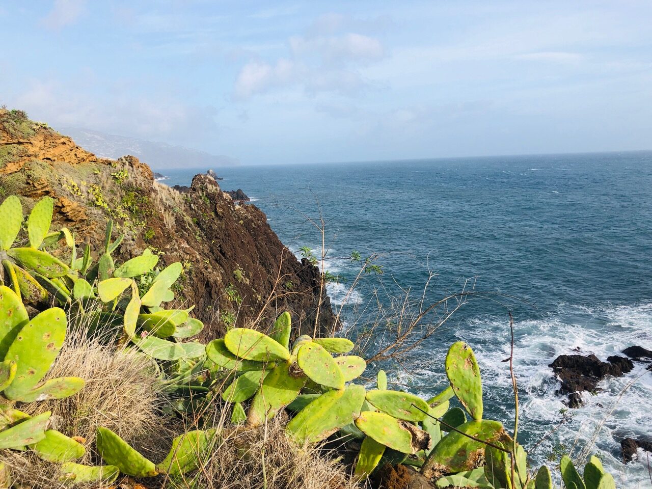 Virve Fredman elämiskustannukset