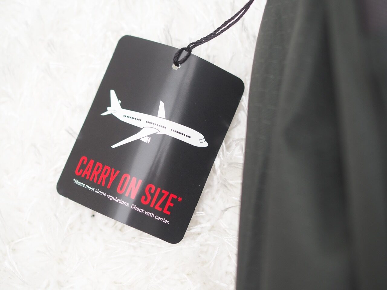 Ruotsi korona koronavirus blogi Virve Fredman